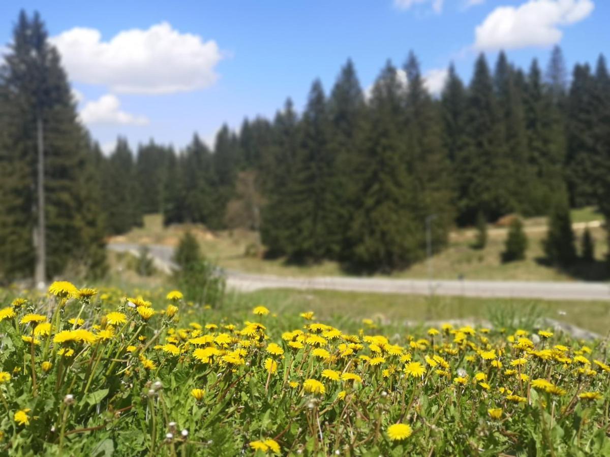 The Evergreen Nest - Silver Mountain Poiana Brasov Eksteriør bilde